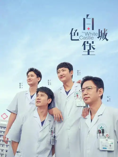 沉默的证词海报